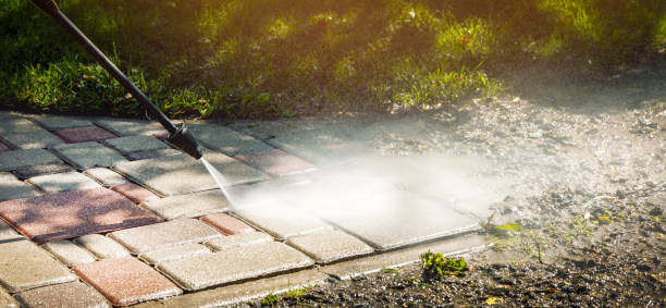Best House Exterior Washing  in Farmerville, LA
