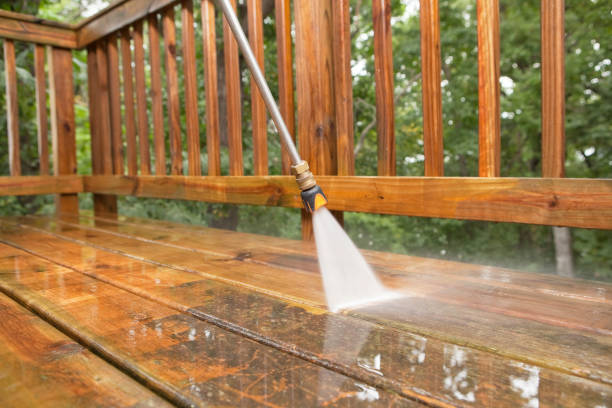 Best Animal Enclosure Cleaning  in Farmerville, LA